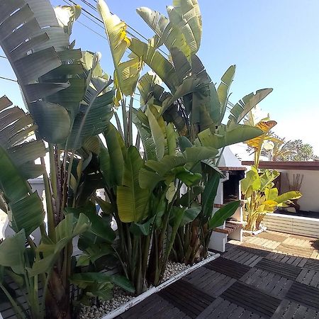 Villa Juncos Can Furnet Екстериор снимка