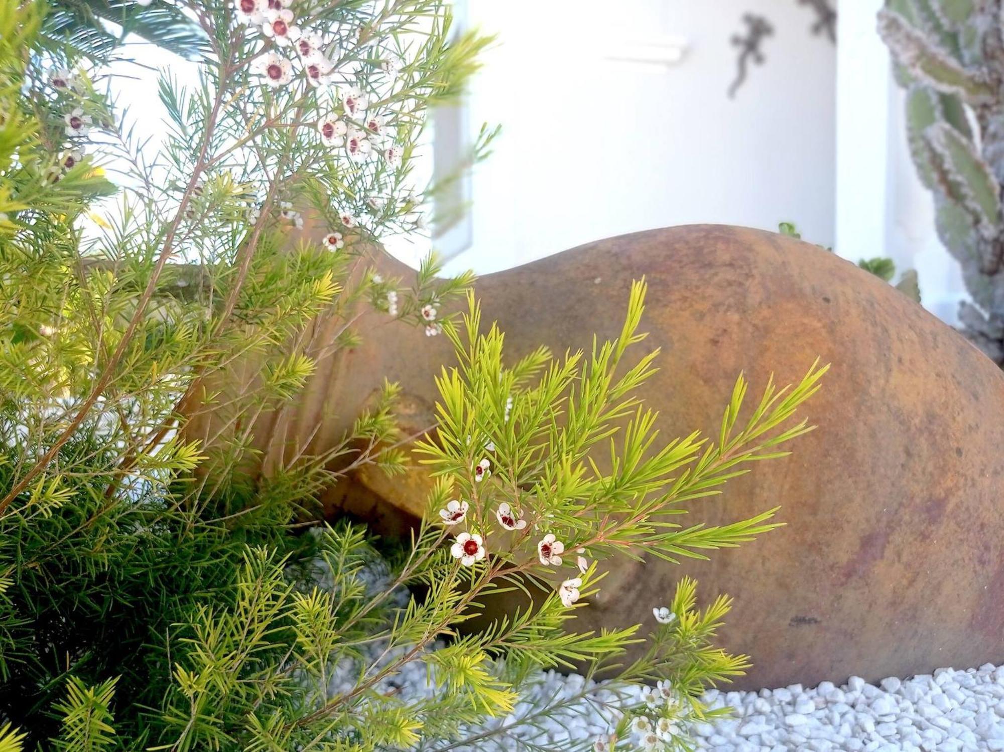Villa Juncos Can Furnet Екстериор снимка